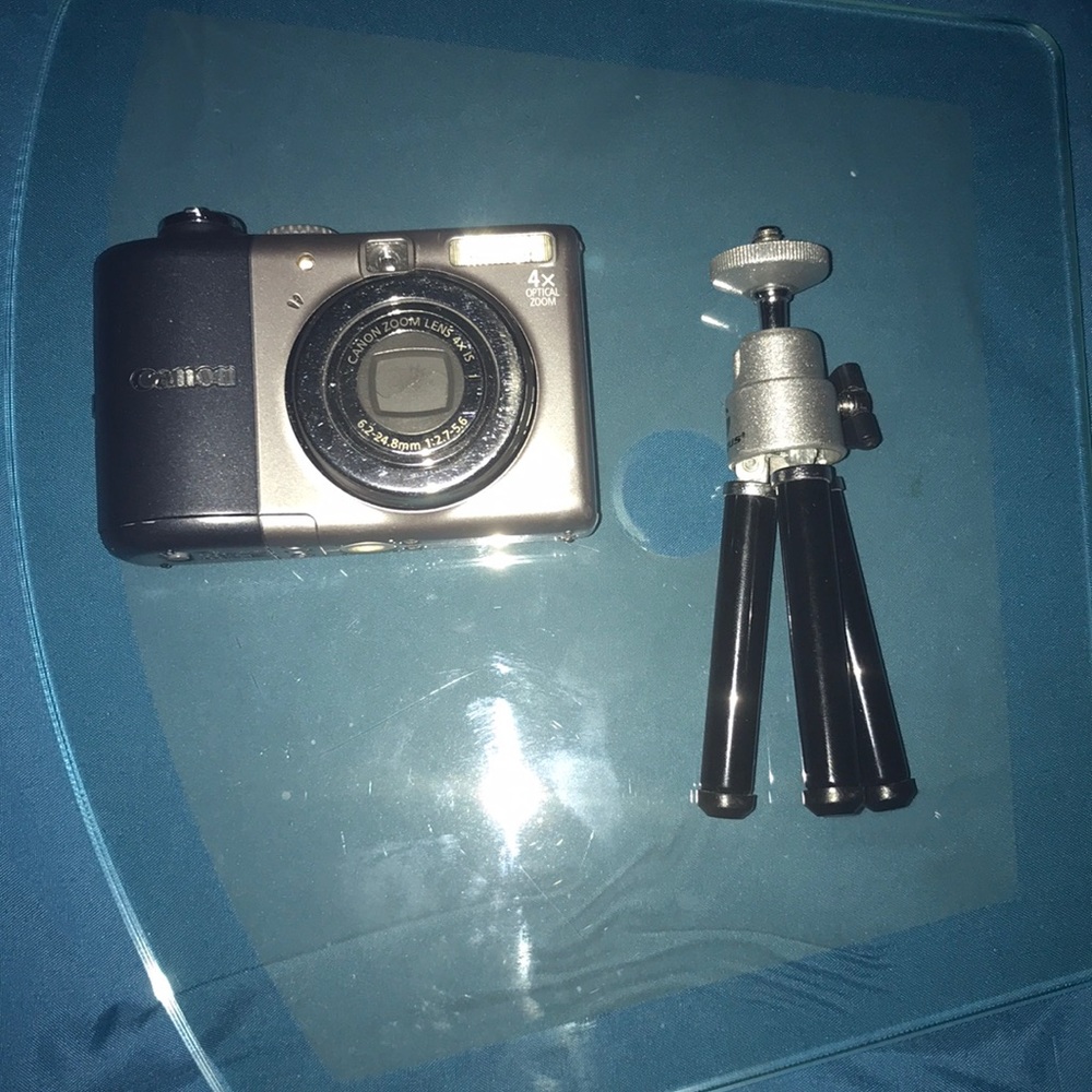 a canon 10.0 mega pixel camera